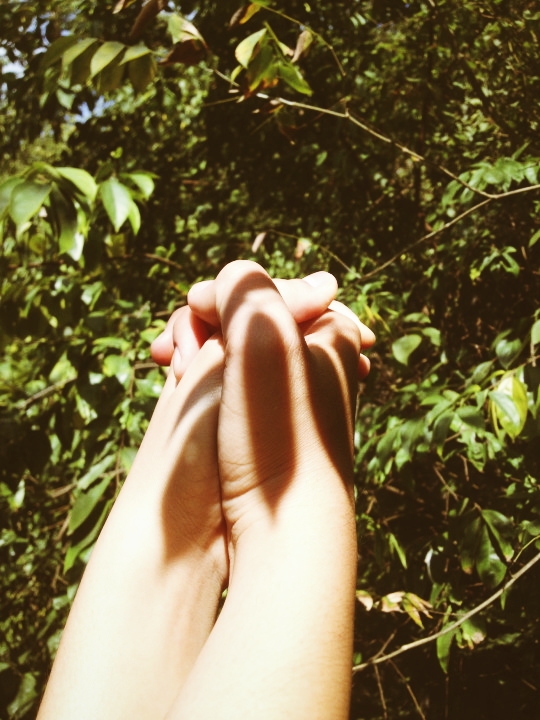 hands in hands