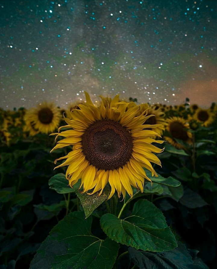 ●●●