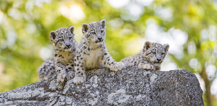 very cute...