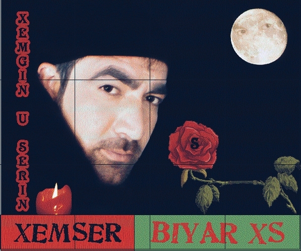 Xemgin