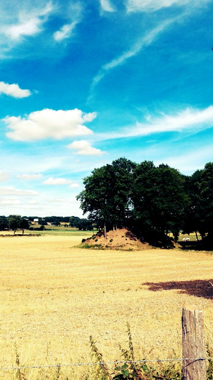 Mottes Castrales en Creuse