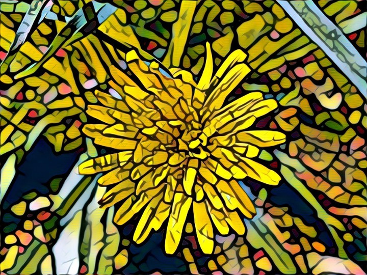 dandelion stained glass