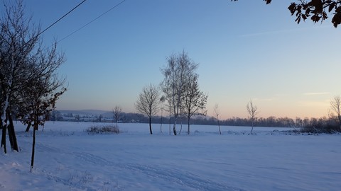 winter