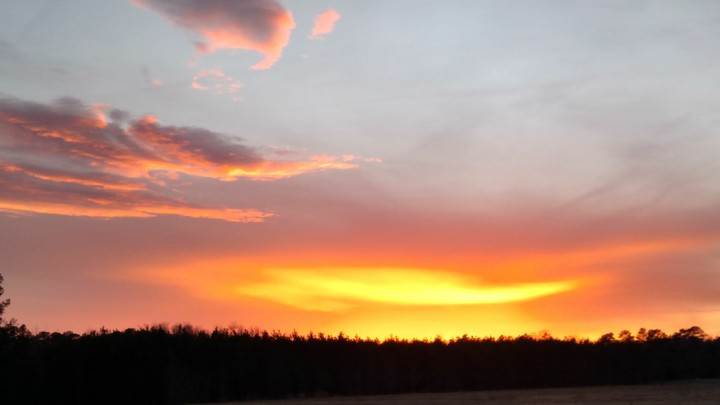 golden skys