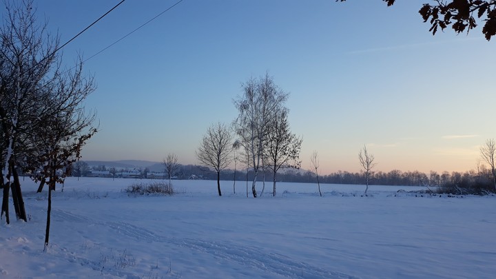 winter