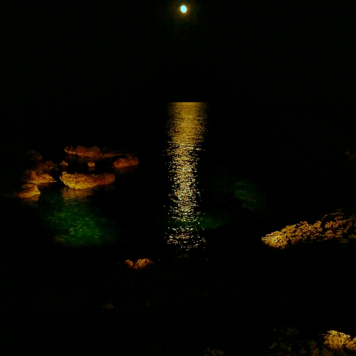 moon light