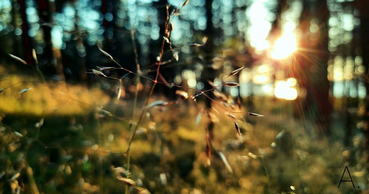 Summer