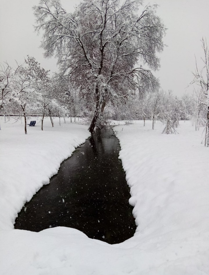 snow