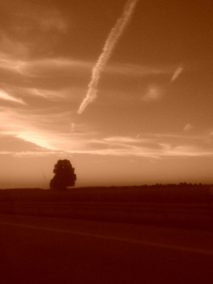 Sky