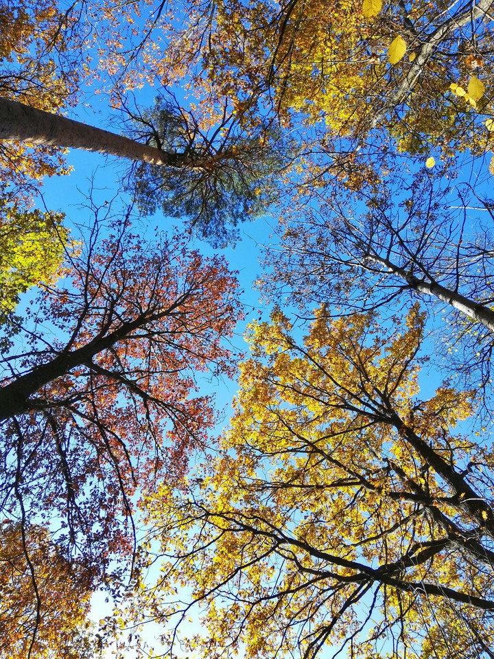Look up the sky