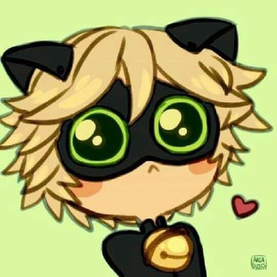 Cat noir