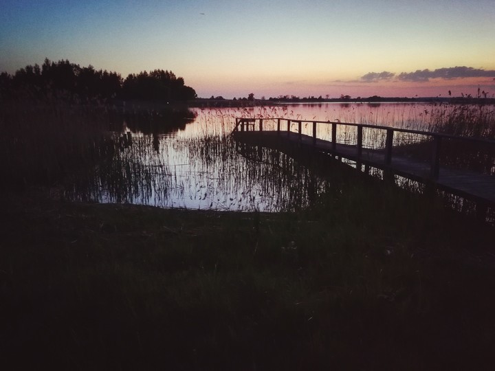 like Water 