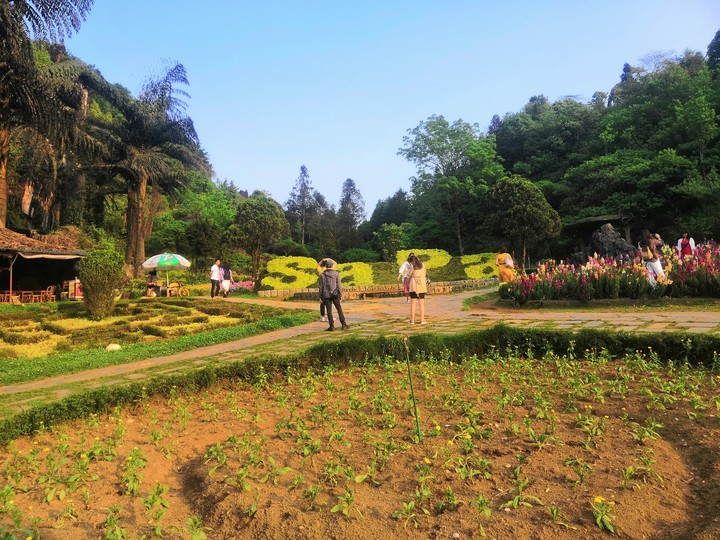 SAPA VIỆT NAM