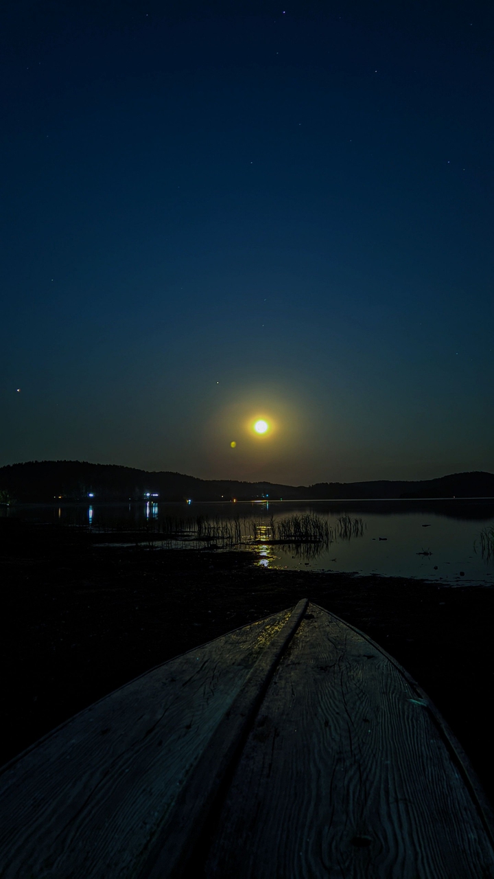 Moonlight night