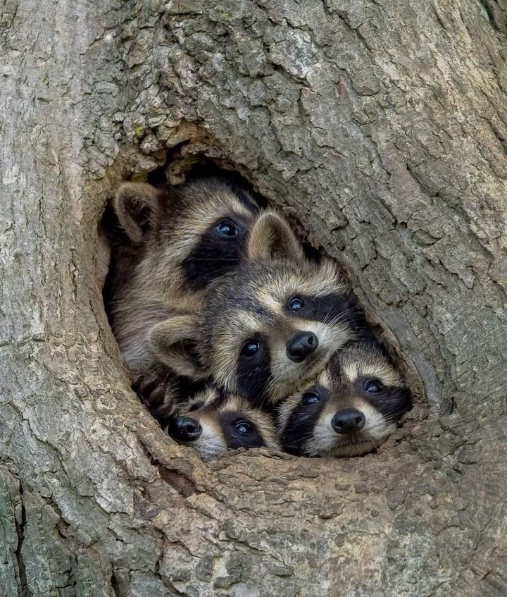 ❤❤❤