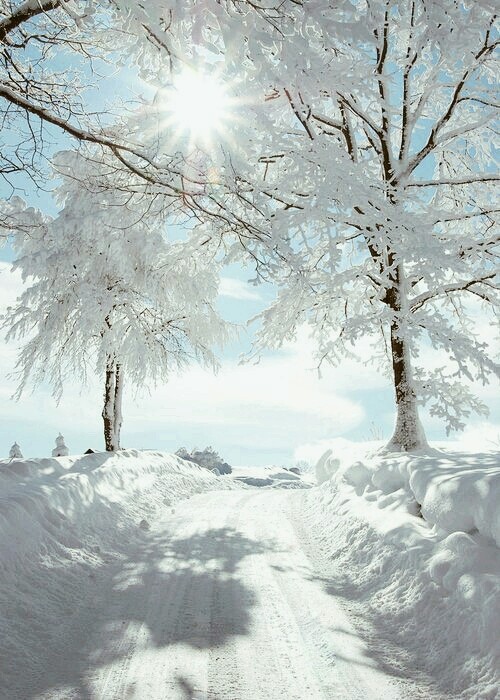 Winter's Road