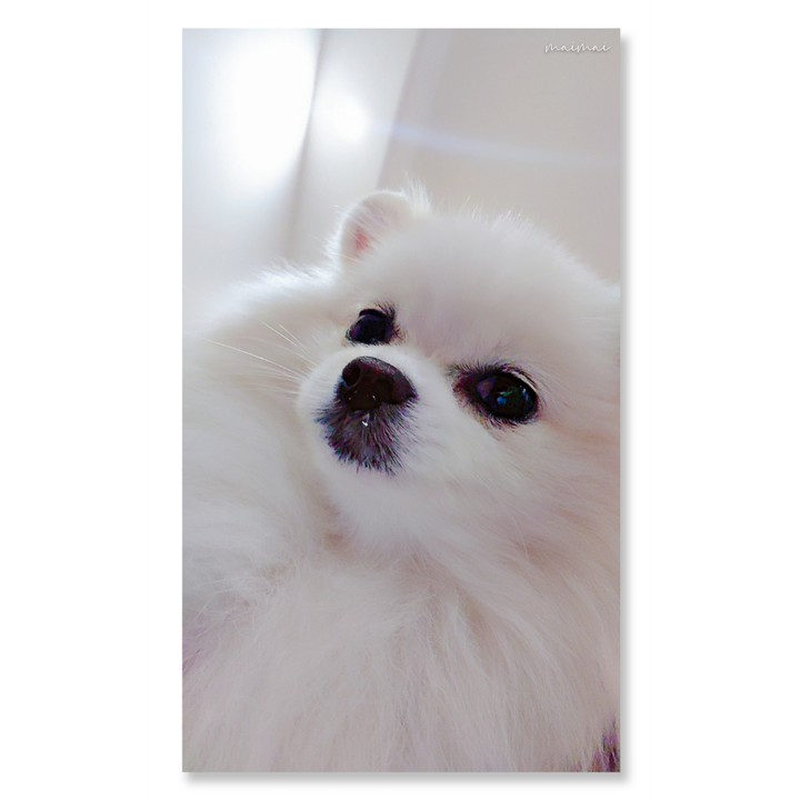 selfie❤л̵ʱªʱªʱª (ᕑᗢᓫา∗)˒❤