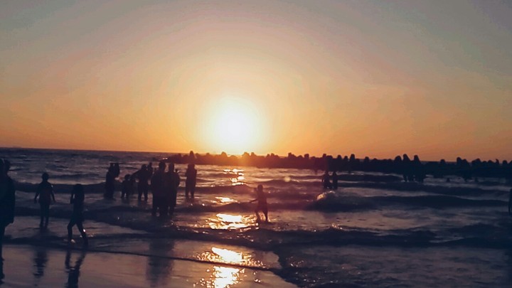 sea is life