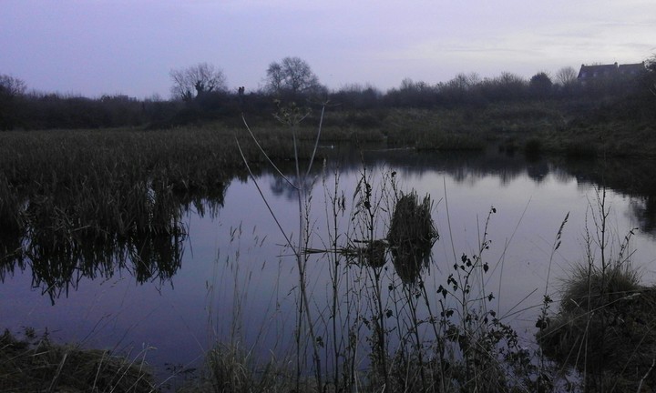 dark lake