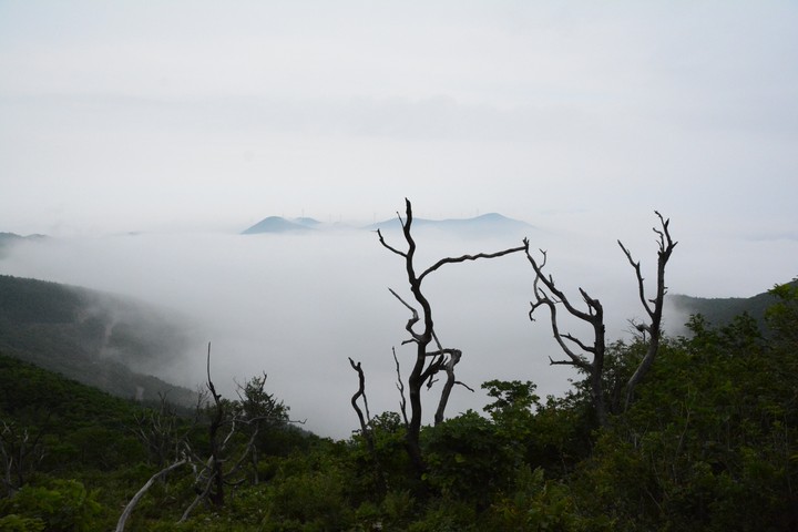 함백산이미지