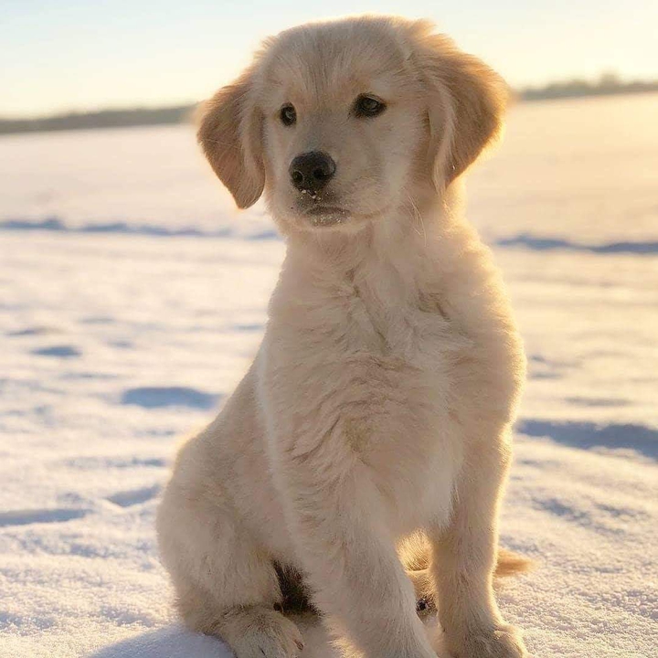 ❤️ ❤️