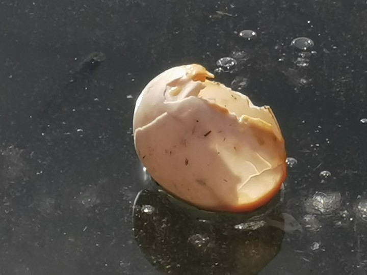 broken eggshell