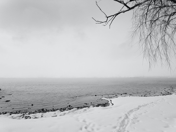 Winter landscape