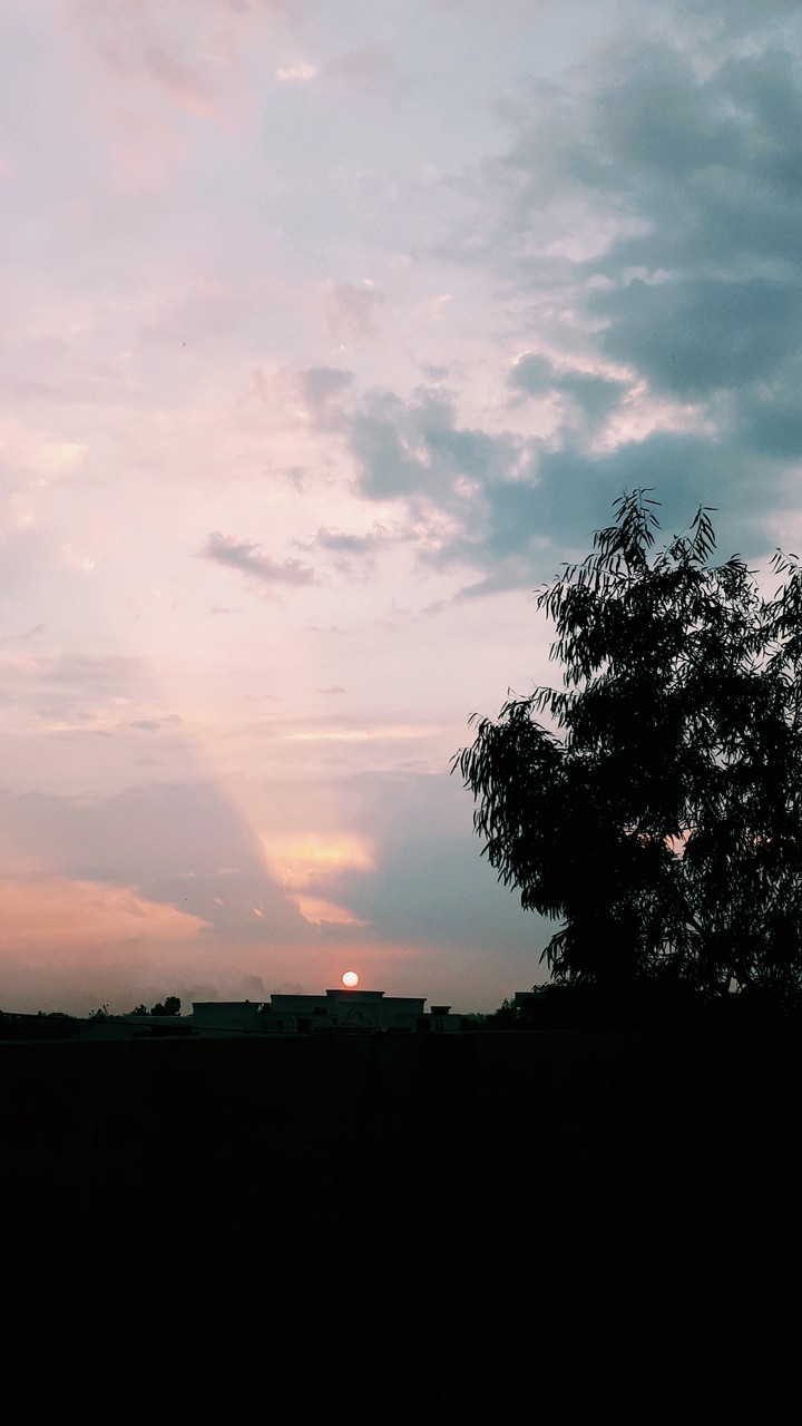 what a view