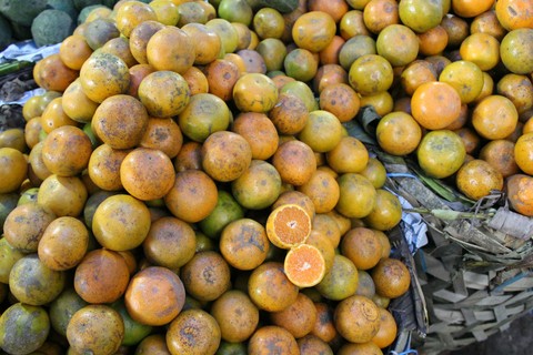 Oranges