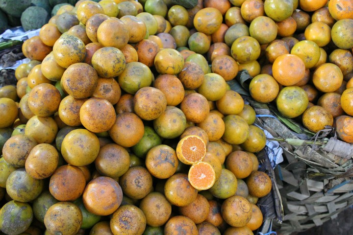 Oranges