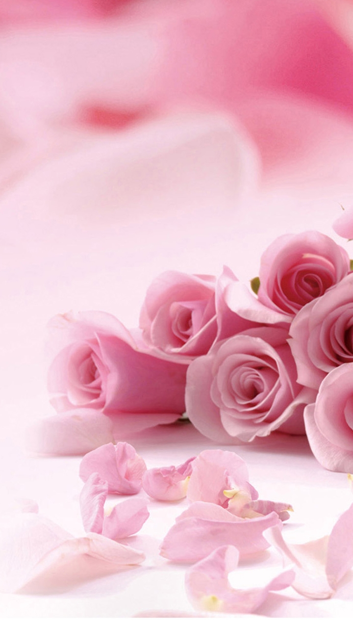 the roses