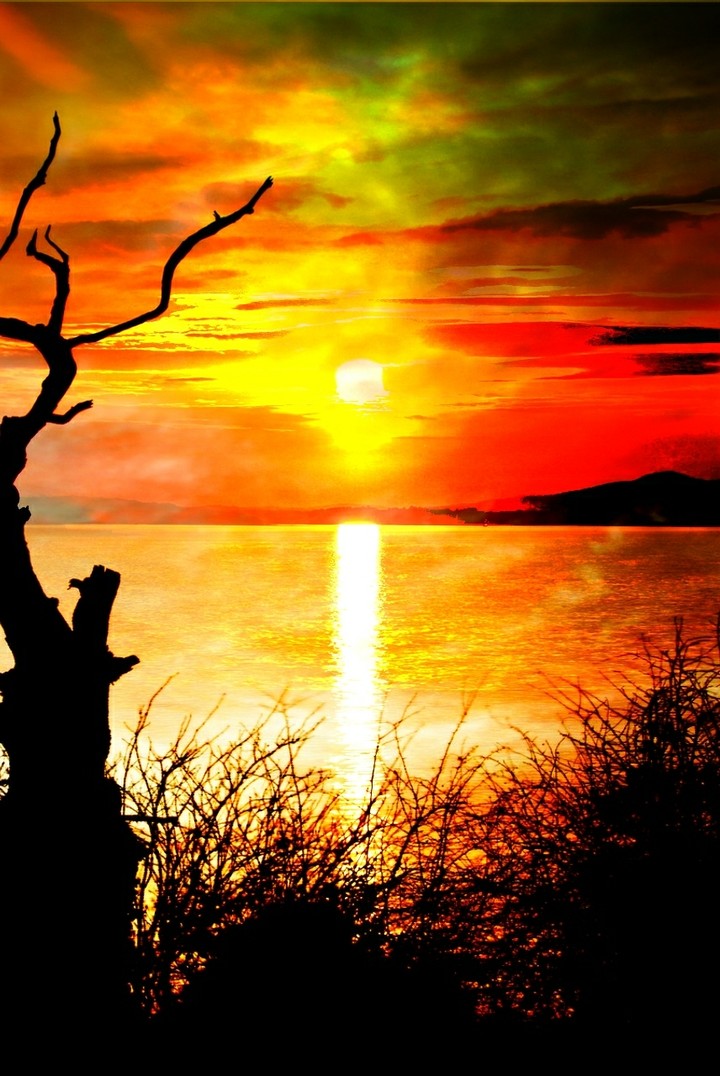 Sunset