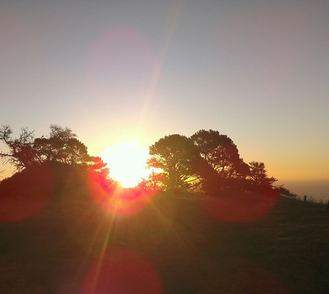 sunset