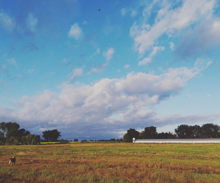 Home, sweet home.