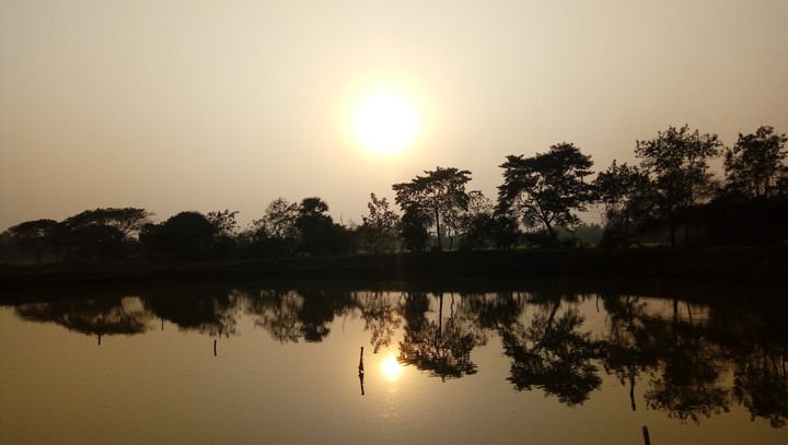 reflection