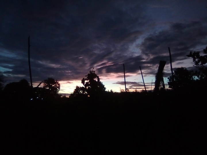 ภาพถ่าย