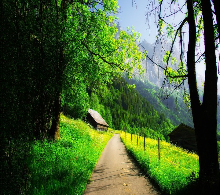 Beautiful World