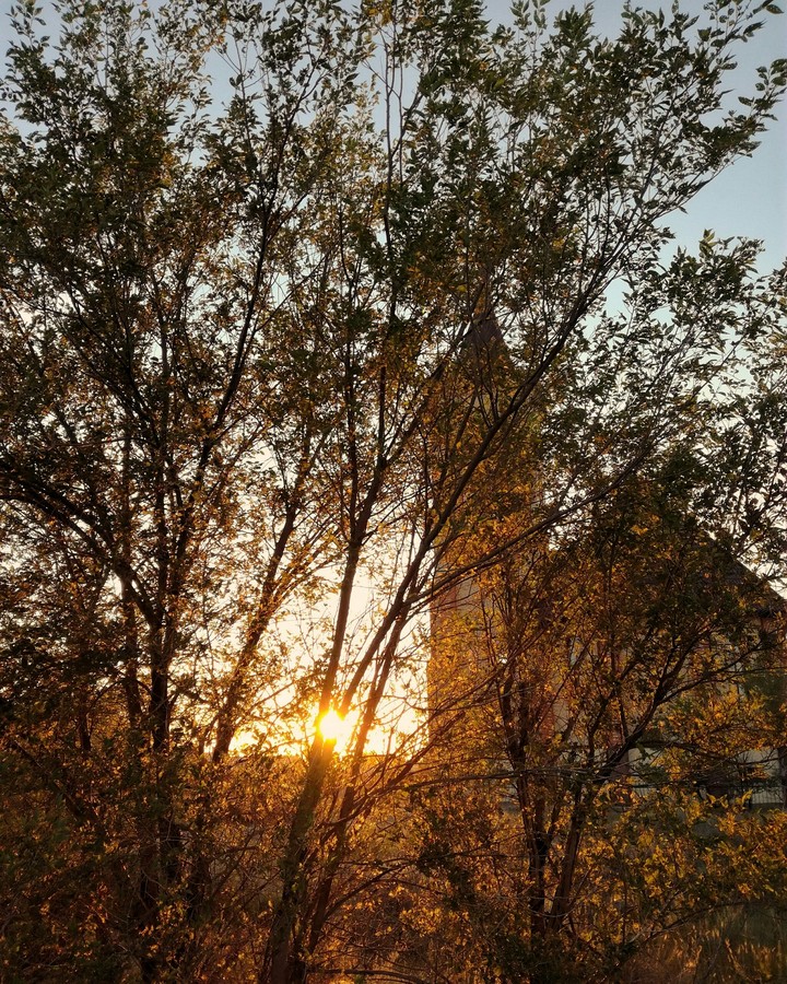 Sunshine