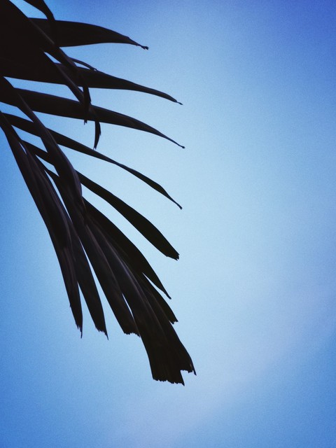 The Sky