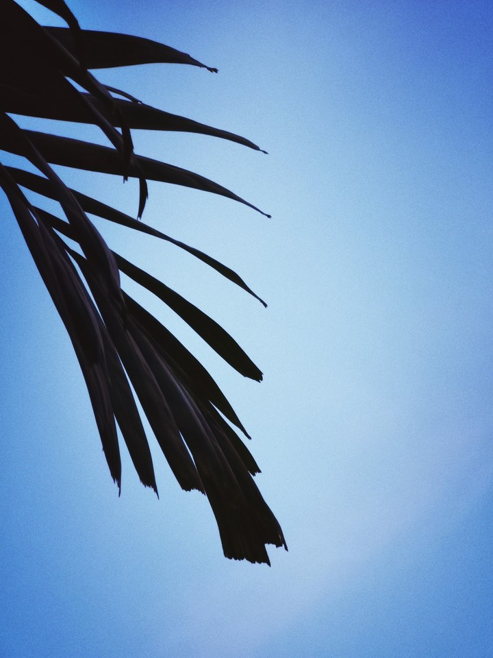 The Sky