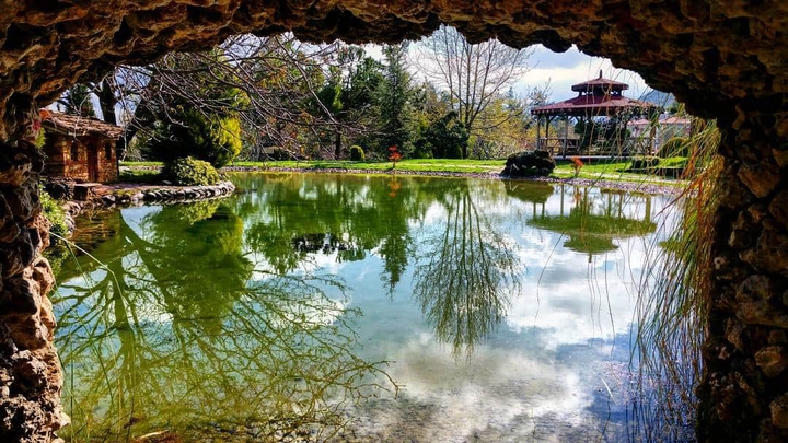 reflection