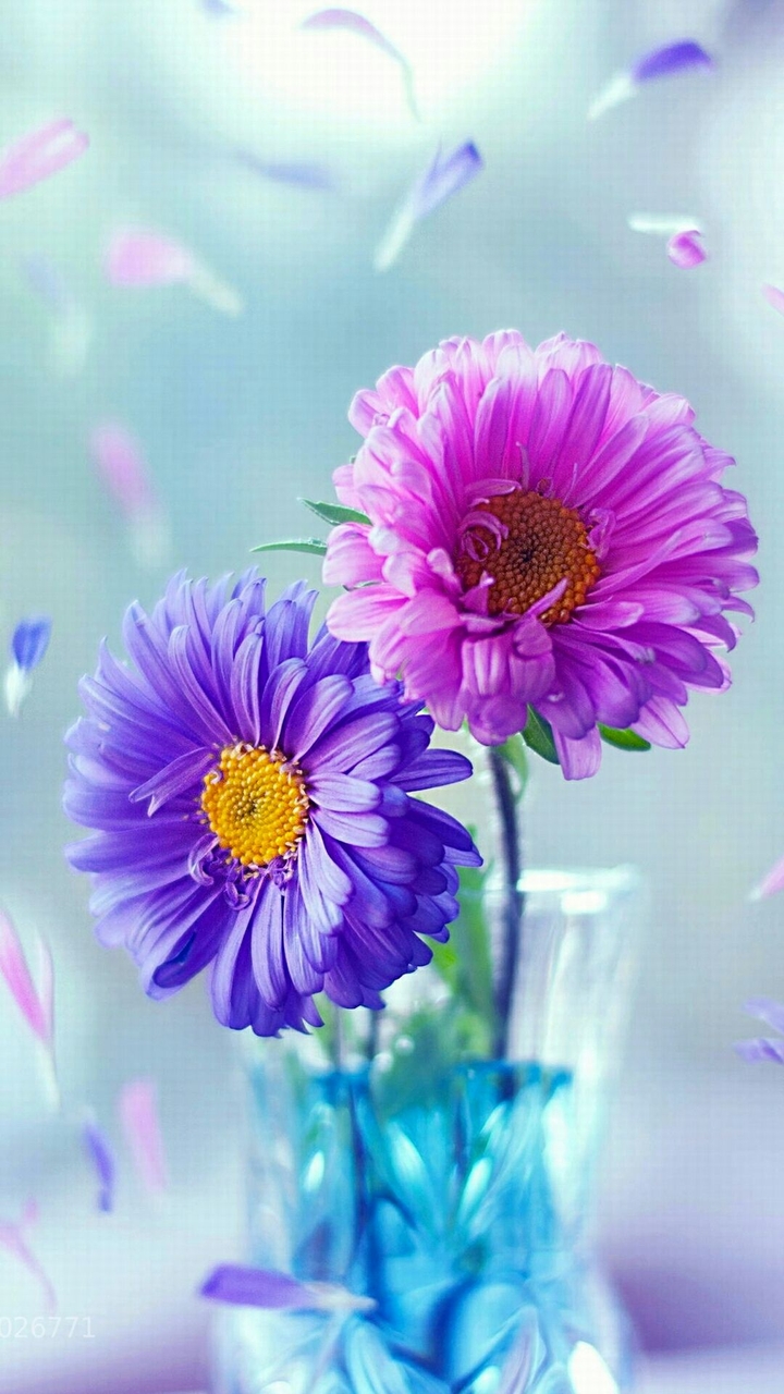 Flowerz