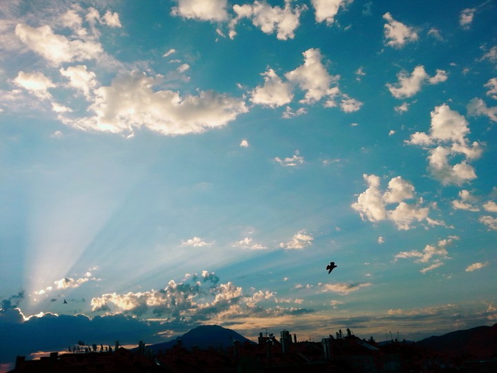 morning shine...