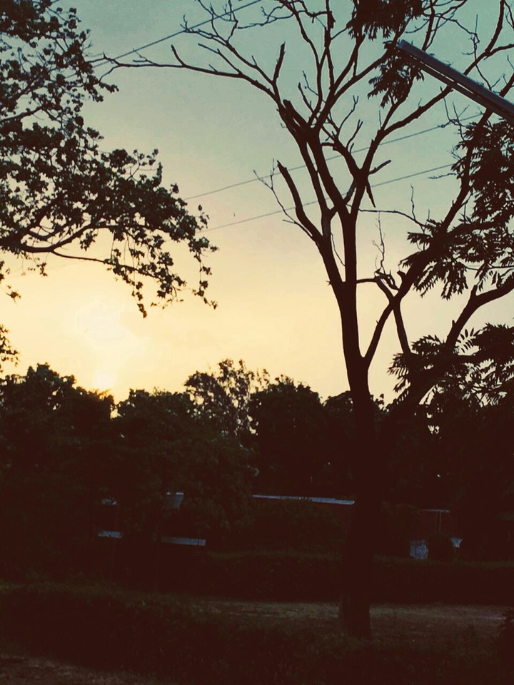 brightness