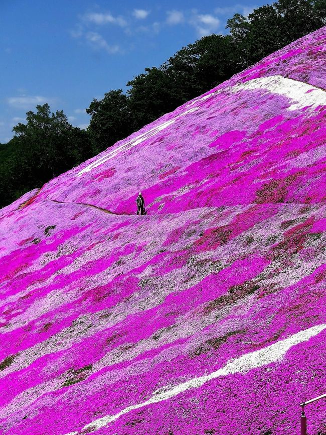 hillside patchwork