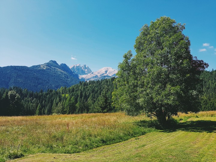L estate in montagna