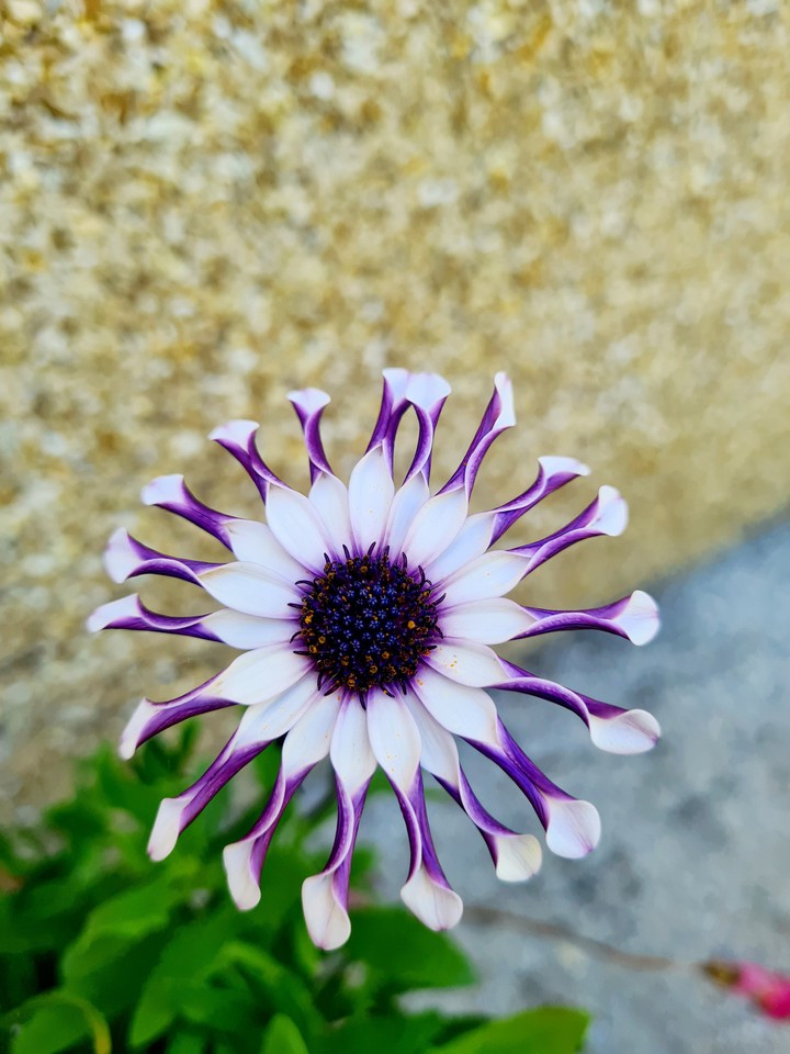 Amazing nature