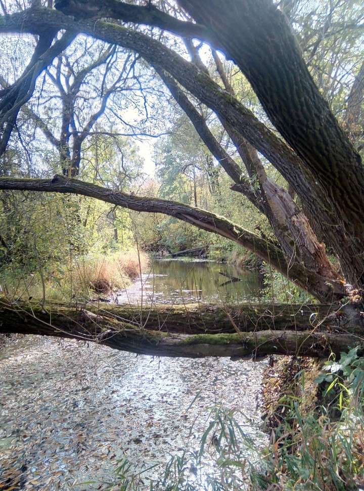 river