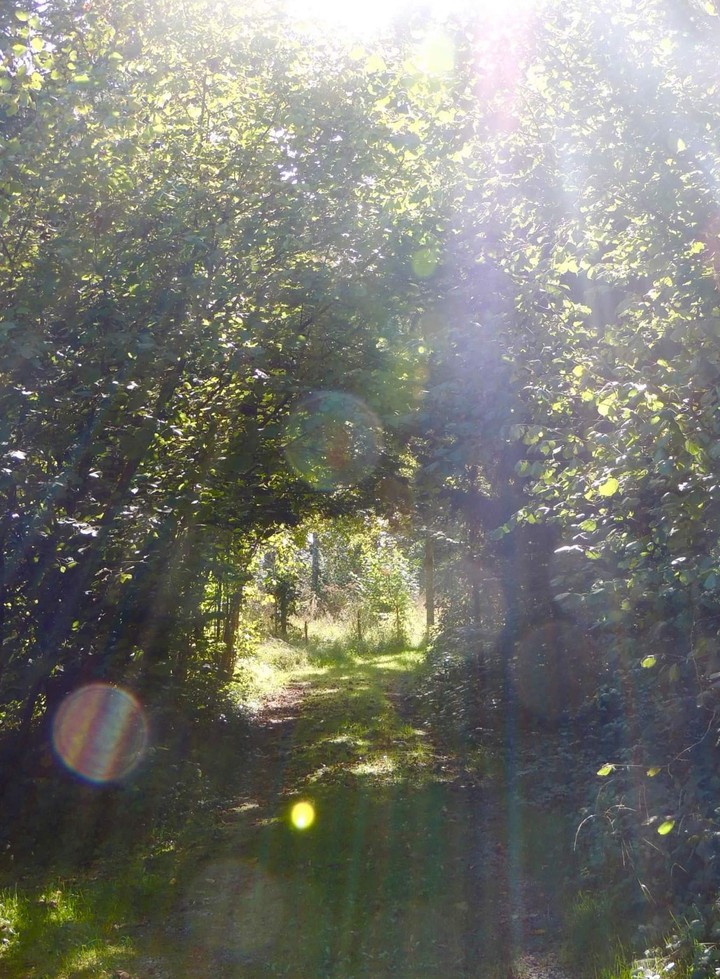 lightfull