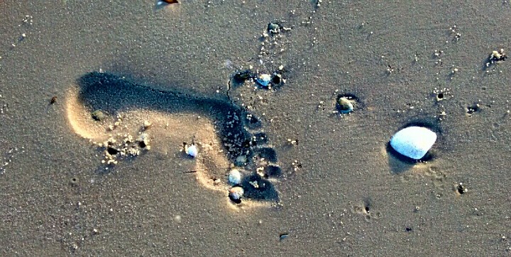 footprint sea